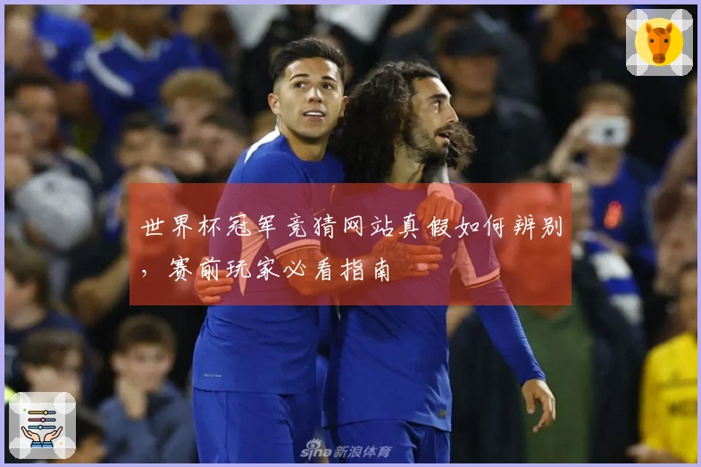 世界杯冠军竞猜网站真假如何辨别，赛前玩家必看指南