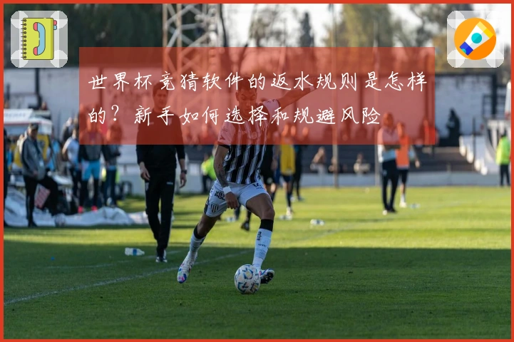 世界杯竞猜软件的返水规则是怎样的？新手如何选择和规避风险