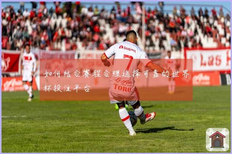 如何结合赛程合理选择可靠的世界杯投注平台