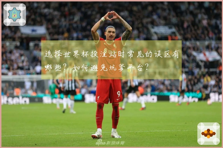 选择世界杯投注站时常见的误区有哪些？如何避免坑爹平台？