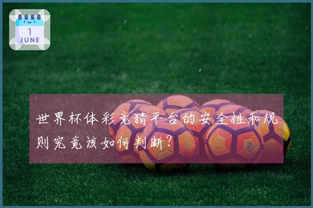 世界杯体彩竞猜平台的安全性和规则究竟该如何判断？