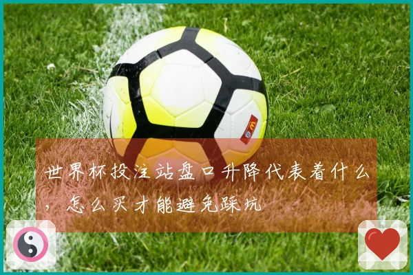 世界杯投注站盘口升降代表着什么，怎么买才能避免踩坑