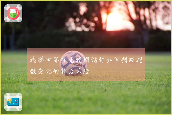选择世界杯竞猜网站时如何判断指数变化的背后风险