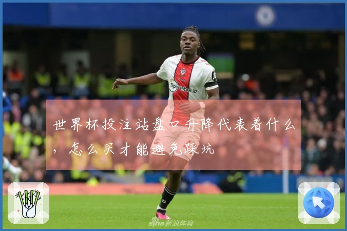 世界杯投注站盘口升降代表着什么，怎么买才能避免踩坑