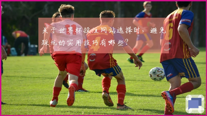 关于世界杯投注网站选择时，避免踩坑的实用技巧有哪些？