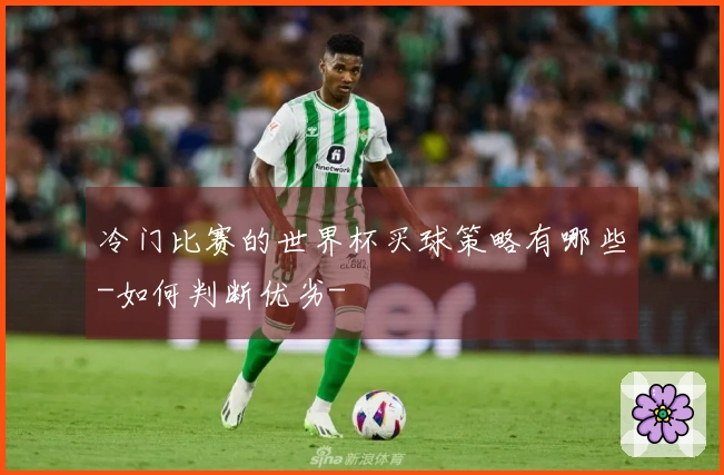 冷门比赛的世界杯买球策略有哪些-如何判断优劣-
